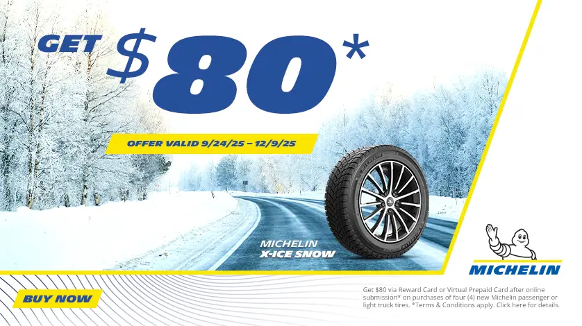 2025 Michelin Winter Promotion
